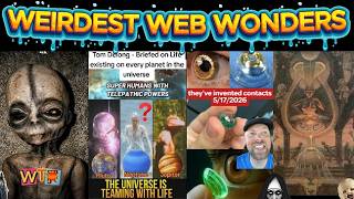 weirdest web wonders vol 206