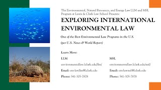 Explore International Environmental Law This Fall Live Info Session with Professor Chris Wold