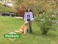 How to Train Your Dog on the PetSafe® Containment System