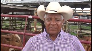 Hidalgo County Cockfighting Events