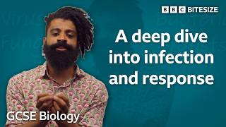 GCSE Biology | A deep dive into infection and response | Bitesize | GCSE Revision