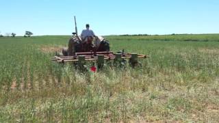 NMSU Dryland Cropping Systems Research