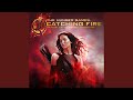Who We Are (From “The Hunger Games: Catching Fire” Soundtrack)