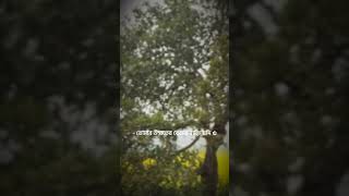 আমরা আশা করতে পারি ইনশাল্লাহ ❤️❤️ #shortsvideo #viralvideo #islamicvideo