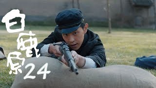 白鹿原 | White Deer 24【DVD版】（張嘉譯、秦海璐、何冰等主演）