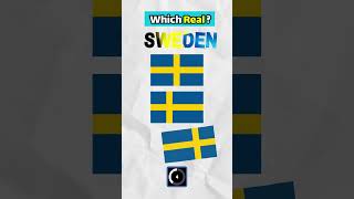 Which Sweden flag is REAL...?