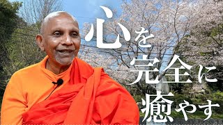 心を完全に癒やす　過去・未来という幻覚からめざめ、今ここを生きるブッダの処方箋｜スマナサーラ長老瞑想合宿法話（07 Apr 2024 誓教寺）#ヴィパッサナー #気づきの実践 #jtba ※音声のみ