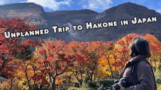 Super Unplanned Trip to The Best Sightseeing Spot in Japan in Autumn 🍂