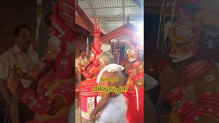 തിരുവപ്പന മുത്തപ്പൻ | Muthappan Thiruvappana #muthappan #thiruvappana #theyyam #keralagram