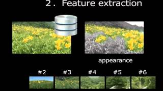 Video Scene Analysis Technology