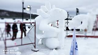 Aerial Video Stillwater Minnesota 2023 World Snow Sculpting Championship #wssc