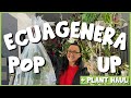 ECUAGENERA Pop Up! | Come PLANT SHOPPING With Me :)