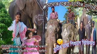 হাতীৰ তাণ্ডৱ দেখি গাঁৱৰ মানুহ আচৰি #dulraj_axom Assamese New Video 2025 @Dulraj_Axom121