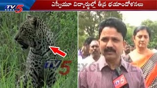 SV University Faculty Reacts Over Leopard Hulchul in Campus | Tirupati | TV5 News