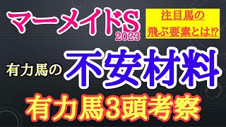 【マーメイドステークス2023】有力馬考察！ビッグリボンやウインマイティー、ストーリアらの不安材料は何なのか？