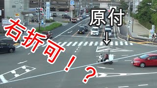 【まさに生贄！】４車線交差点で二段階右折を無視して捕まる原付【後から来た原付の運命は如何に！？】