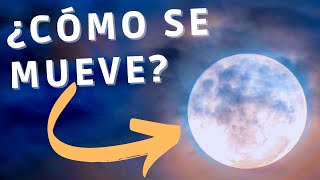 🌖 Movimientos de la Luna: ¿Sabes cuántos son? ¿Cómo se mueve la Luna? ⭐⭐⭐⭐⭐