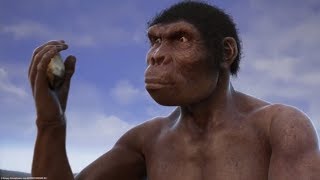 Evolution from ape to man. From Proconsul to Homo heidelbergensis