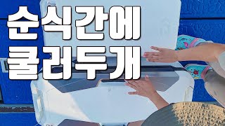 [다리tv] 엄청난 피딩이 몰려옵니다!!! 지금부터 시작!!!