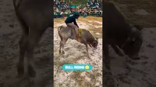 OMG! Brave Man 🤗 Bull Riding Game