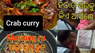 ସକାଳୁ ଗଜା ମୁଗ ବୁଟ ସହ ପଖାଳକୁ ମାଛ ଭଜା, ହଠାତ୍ ଘରକୁ କିଏ ଆସିଲେ,crab curry🦀@dilipdipalifamilyvlogs9668