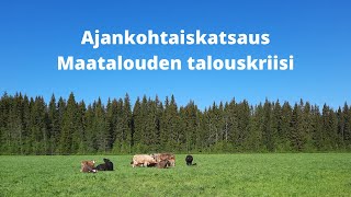 Ajankohtaiskatsaus - Maatalouden talouskriisi