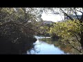 【full hd】柿田川公園の第一展望台からの景色