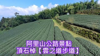 阿里山公路景點～頂石棹【雲之道步道】