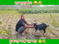 মাল খেয়ে মাতাল😅 for you viral video @teenmolla351 funny viralvideo