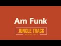 Power Funk Backing Track In Am ( Dorian )