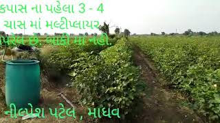 Multiplier result in kapas -cotton-narama  9427312280