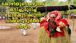 വിഷ്ണുമൂർത്തി തെയ്യം Vishnumoorthi theyyam drinking rooster blood Kannur Areekkara vayalombran kvu