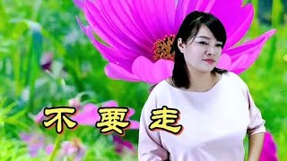 伤感民谣《不要走》深情怀旧，感人至深，太好听了