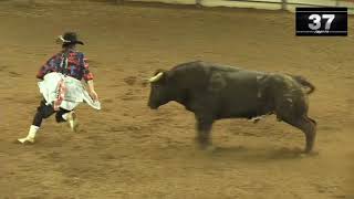 Beau Schueth - BFO Rodeo Scottsdale 2019