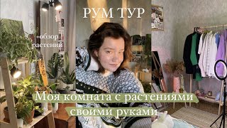 Рум Тур || моя комната с растениями