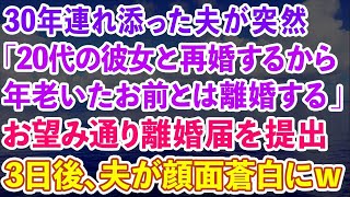 【スカッとする話】30年連れ添った夫が突然「20代の彼女と再婚するから、年老いたお前とは離婚する」お望み通り離婚届を提出→3日後、元夫が顔面蒼白に