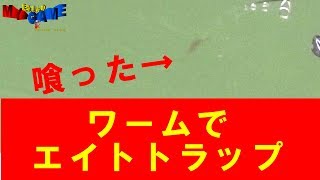 【バス釣り】ワームでエイトトラップをしてみたら　下ネタ注意　～まるりんのMY GAME～