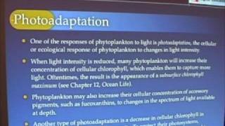 Ocean Productivity - Photoadaptation
