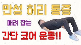 만성 허리 통증에 도움이 되는 간단 코어 운동 입니다.