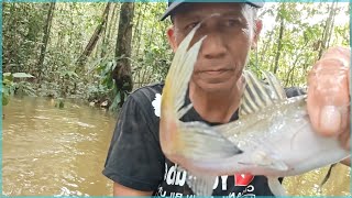 HARI INI ADA HASIL BUBU DAN PUKAT // AIR SUNGAI SANGAT BESAR DAN DERAS //