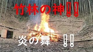 竹林奮闘記　＃24　焼却処理　後編　放置竹林　焼却処理　　　　　　　竹林再生計画ー2