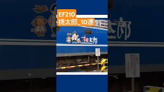 [EF210] 桃太郎_10連 〜全部MOMOTARO〜 #shorts sh#桃太郎 #ef210 #貨物列車 #train