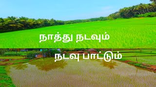 நெல் நாற்று நடவு செய்வது எப்படி | நாற்று நடவு பாடல் | Nel  Nadavu murai| nadavu song@Arulcutefamily.