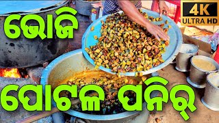 New Cooking Video||Odia New Paneer Recipe||Odia New Recipe Video||Odia Bhoji Video||Village Food .