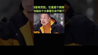 万物皆有灵性，它虽是个狗狗也能办个大事看它去干啥了