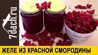 Желе из красной смородины: кладите кисточки целиком - 7 дач