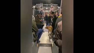 Metrobüste sahipsiz köpeğe bağıran kadını metrobüsten indirdiler. Köpek yolculuğa devam etti!