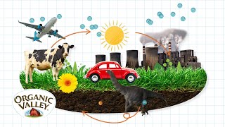 Carbon Sequestration Explained | Ask Organic Valley