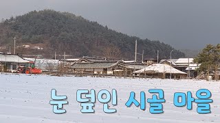 눈 내린 시골 마을/산책