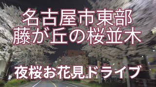 名古屋の桜 お花見スポット　名古屋市東部の藤が丘駅から広がる桜並木の夜桜お花見ドライブ